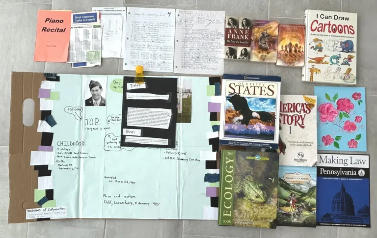 Collection of books, notes, and printed materials spread out on a flat surface, including textbooks about history, language, and art.